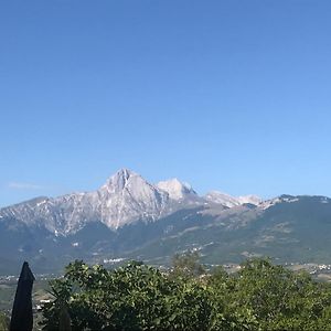 BascianoAgriturismo Flara住宿加早餐旅馆 Exterior photo