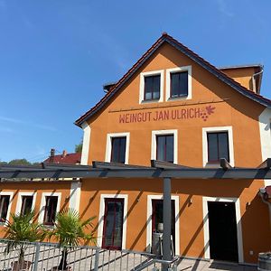 Diesbar-Seusslitz Weingut Jan Ulrich酒店 Exterior photo