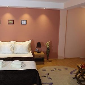 佐内公寓 尼什矿泉村 Room photo