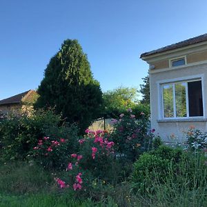 BatovoRose Garden别墅 Exterior photo