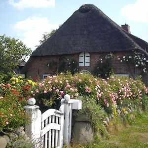 Ferienwohnung Nordsee Im Friesenhaus Dikhus Emmelsbüll-Horsbüll Exterior photo