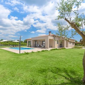 Spacious New Design Villa Vitis Vitae, Private Pool ,1400M2 Garden , Central Istria Svetvinčenat Exterior photo