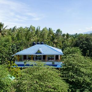 The Midway Jungle Resort 马西尼古蒂 Exterior photo