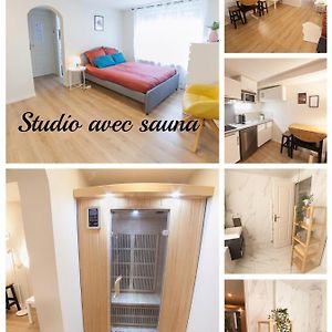 Prestigeloc Luxury Studio Avec Sauna Prive Gratuit Ou Sans - Centre Ville D'奥尔良 Exterior photo