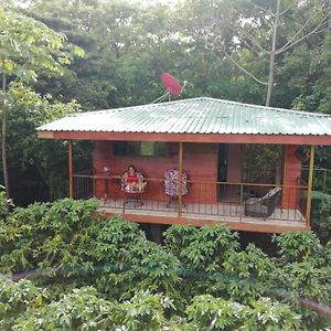 勒罗生态可持续农场山林小屋 Monteverde Exterior photo