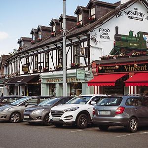 马斯克里阿姆斯住宿加早餐旅馆 布拉尼 Exterior photo