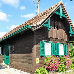 德普因-艾森伯格Ferienhaus Im Suedburgenland别墅 Exterior photo