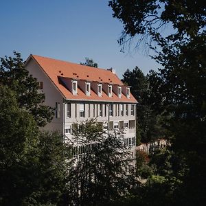 Maiers Johanniterbad Ringhotel 罗特威尔 Exterior photo