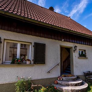 Gartenferienhaus "Annaluise" Schönau im Schwarzwald Exterior photo