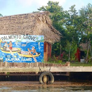 Palmento Grove Garifuna Eco-Cultural & Healing Institute 霍普金斯 Exterior photo