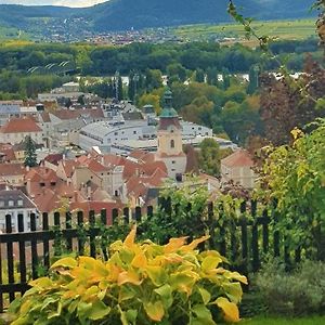 Blick Ueber Krems Mit Gartenpavillon公寓 Exterior photo