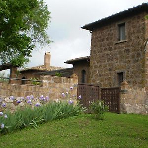 维特拉Casale Di Befania别墅 Exterior photo