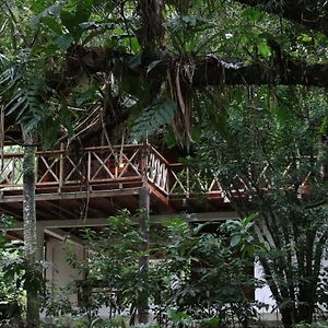 Caoni Riverside Suites - Birders Paradise By The River, Ecuadorian Choco 基多港 Exterior photo