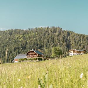 Bio Bauernhof Oberhinterberg Appartement 安纳贝格-伦格茨 Exterior photo