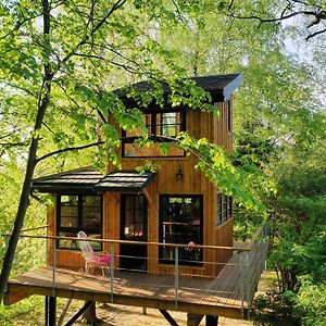 卡齐米日-多尔尼Wegielek Treehouse别墅 Exterior photo