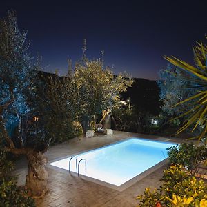 Happy Villa With Pool Kalpaki  Exterior photo