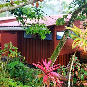 迦太基Casitas Eco Bambu别墅 Exterior photo