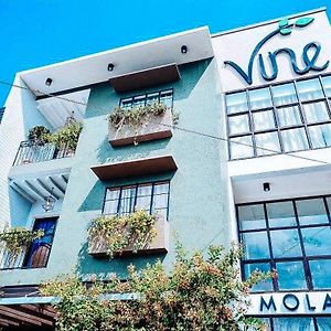 Reddoorz @ Vine Molave酒店 Exterior photo
