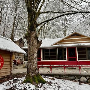 汤森德Beary Relaxing Cabin - Rustic With Outdoor Patio别墅 Exterior photo