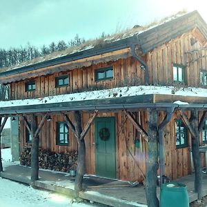 Benesov Chalet Boruvka - Biofarma Na Samote V Lesich别墅 Exterior photo