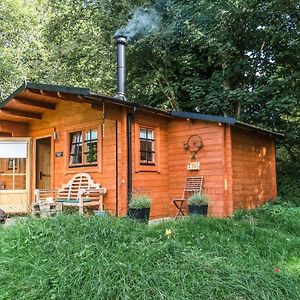 Tranquil Lodge Retreat In Carluke Exterior photo