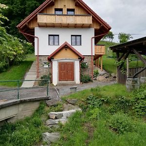 PossnitzBioferienhaus Muster - Dominkusch别墅 Exterior photo