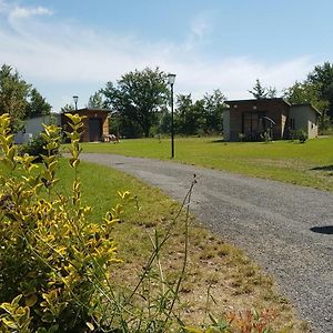 Chalets Confortables Au Bord D'Un Etang Avec Terrasse, Jardin Et Nombreuses Activites. - Fr-1-496-78 Veauchette Exterior photo