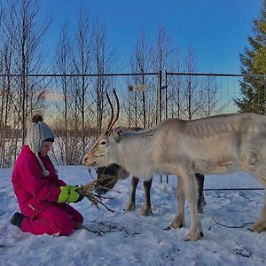 泰尔沃拉Beautiful Rural Experience With Reindeer别墅 Exterior photo