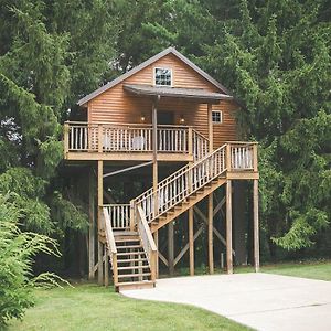 Lofty Willows Treehouse By Amish Country Lodging 米勒斯堡 Exterior photo