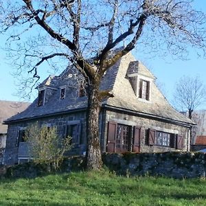 拉塞勒Maison De Charme Dans Le Parc Des Volcans D'Auvergne Avec Terrasse别墅 Exterior photo