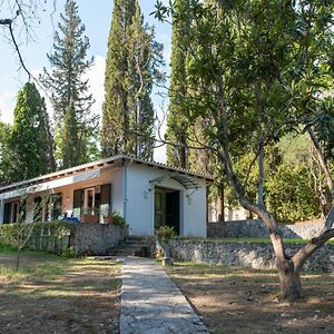Villa Dafnies Agios Prokopios  Exterior photo