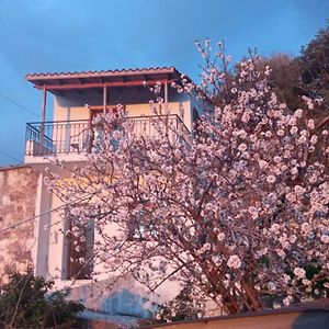 Stefanis Traditional House - Kampos Kámbos Exterior photo