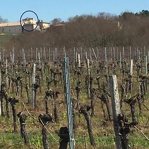 Saint-Vivien-de-BlayeSuperbe Gite A La Campagne Dans Le Bordelais公寓 Exterior photo