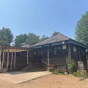 Tree Tops Holiday Let & Sauna South Downs West Sussex Sleeps 10 Hardham Exterior photo