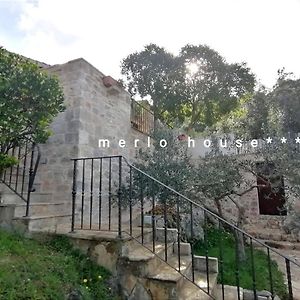 Merlo House Dol Hvar 斯塔里格勒 Exterior photo