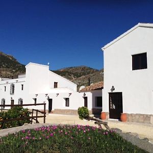 Cortijo Mariposa. Independent Two Bedroomed Holiday Home 阿尔沃斯 Exterior photo