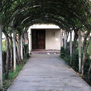 门多萨La Casona De Don Salo别墅 Exterior photo