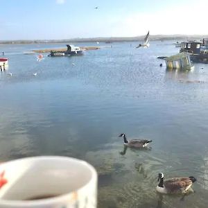 Holes Bay Nature Reserve, Poole, Right Next To The Water别墅 Exterior photo