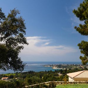 Pasithea - Zeus Blue Villas, Kefalonia 斯巴达 Exterior photo