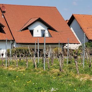 Ferienhaus Vongerichten Oberhausen  Exterior photo