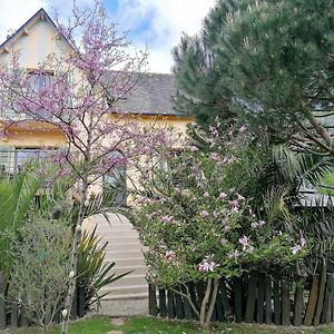 Guest House Dans Jardin Exotique Proche D'Une Voie Verte 莫尔莱 Exterior photo