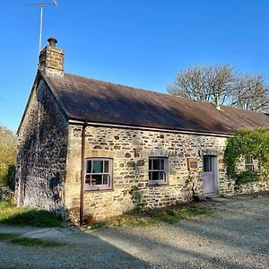 LlandysulThe Rose Barn, Ysgubor Y Rhosyn别墅 Exterior photo