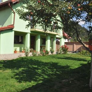 Rîşnov Vilman House酒店 Exterior photo