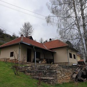 克拉列沃Kuca Za Odmor - Martic, Rudno, Golija别墅 Exterior photo