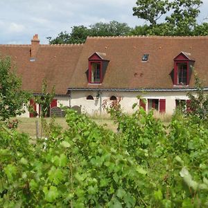 Cottage Du Vigneron Vernou-sur-Brenne Exterior photo