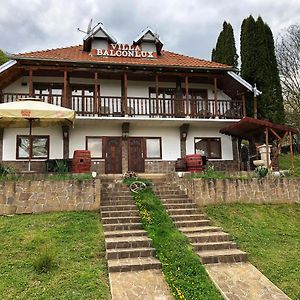 Villa Balconlux - Zavojsko Jezero, 皮罗特 Exterior photo