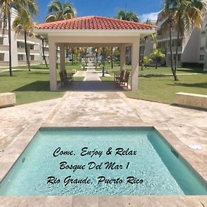 Come, Enjoy & Relax Bosque Del Mar 1 Rio Grande, Pr Exterior photo