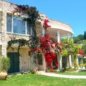 House Lemoni, Apartment A With Terracebalcony - Pelekas, Corfu Exterior photo