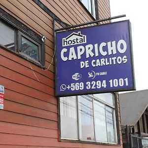 瓦尔迪维亚 Hostal Capricho De Carlitos酒店 Exterior photo