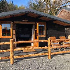 Luxury Cabin In The Magical Galloway Forest Park 牛顿斯图尔特 Exterior photo